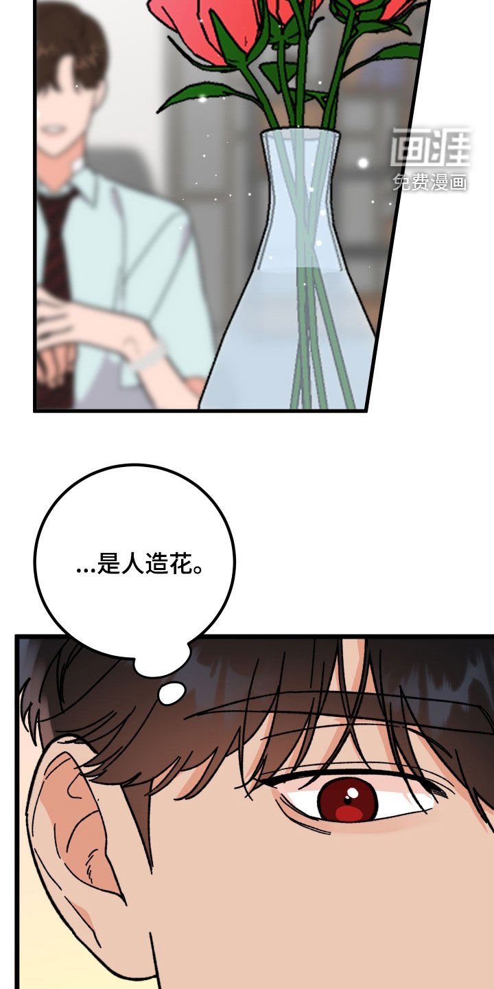 第61章：【第二季】约会机会书