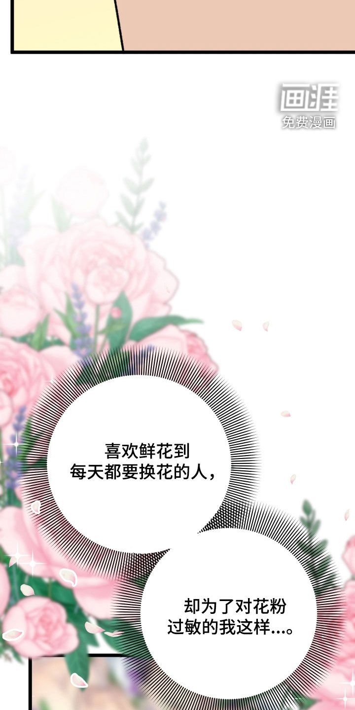 第61章：【第二季】约会机会书