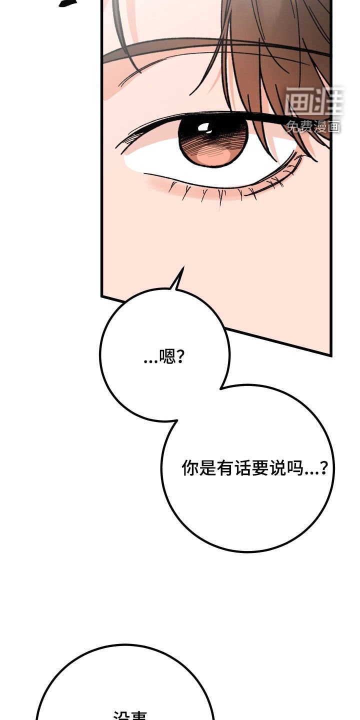 第61章：【第二季】约会机会书