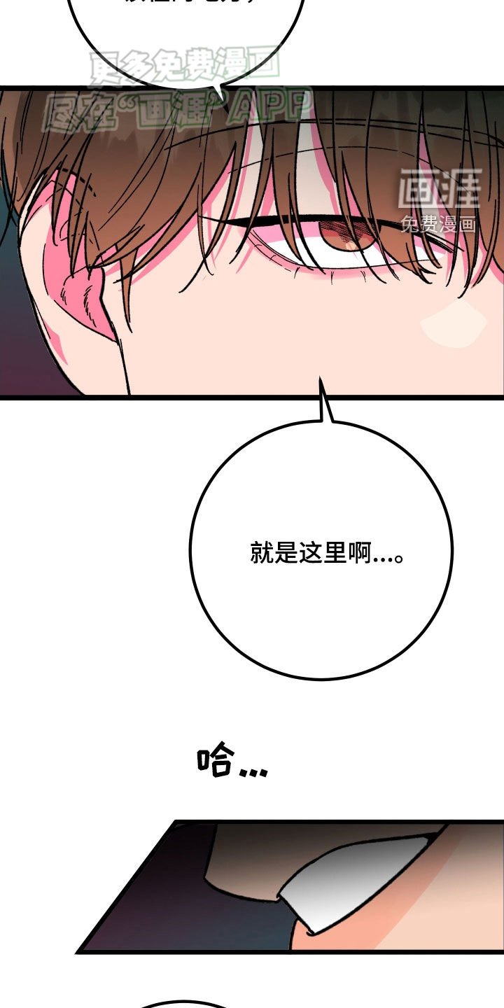 第73章：【第二季】该在的地方