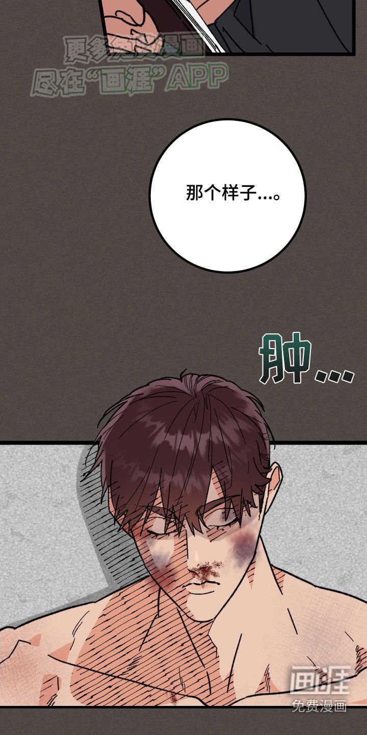 第79章：【第二季完结】很完美