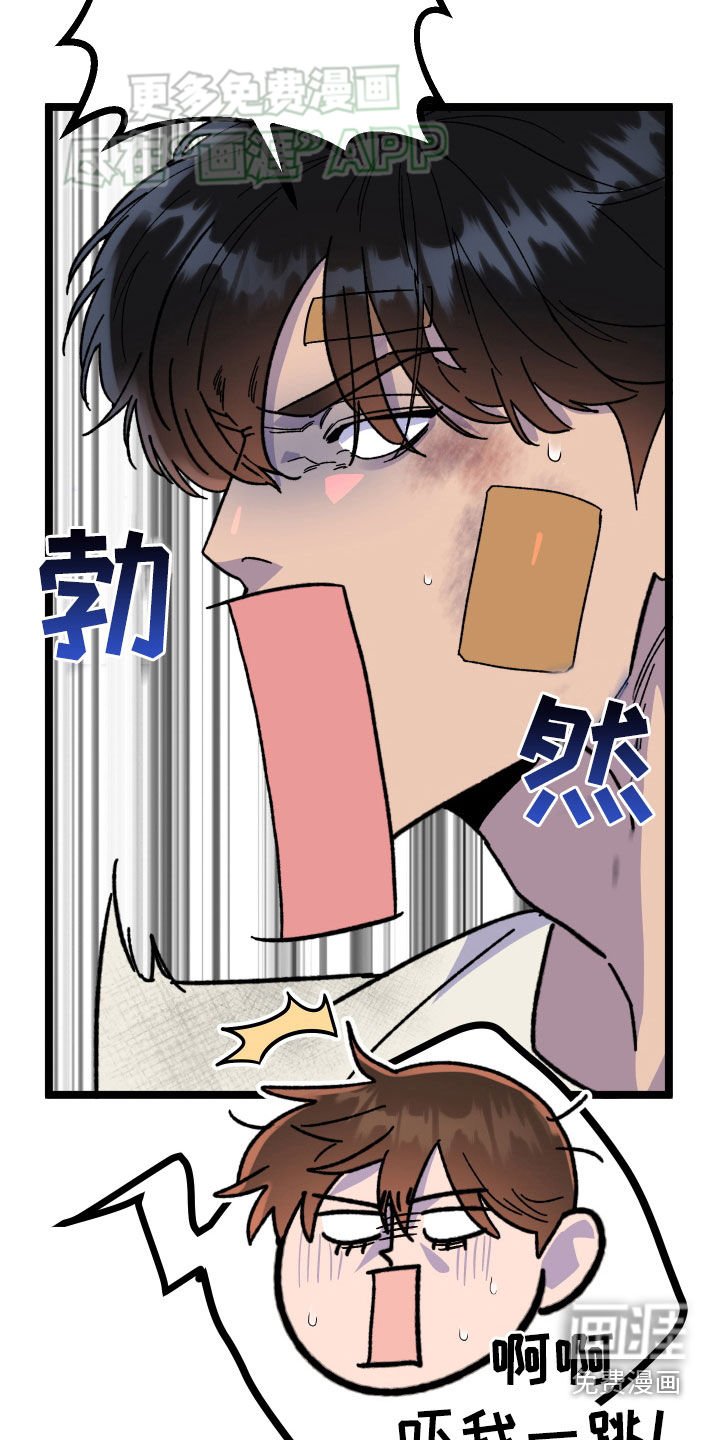 第79章：【第二季完结】很完美