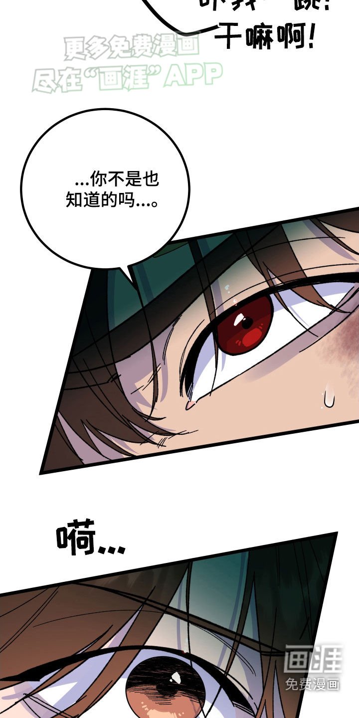 第79章：【第二季完结】很完美