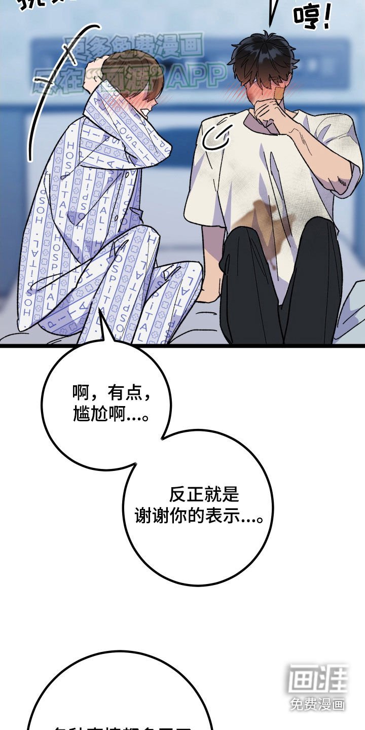 第79章：【第二季完结】很完美