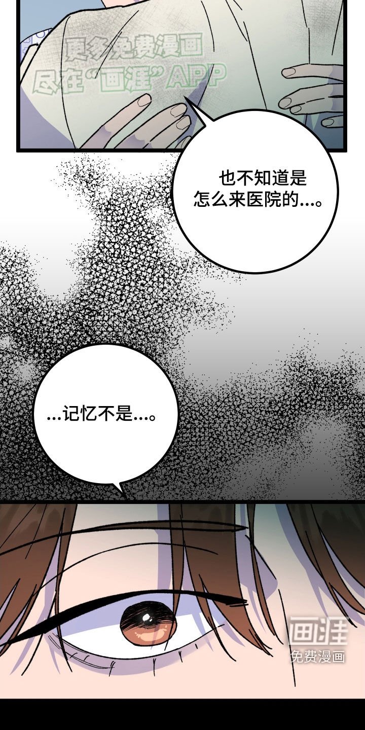 第79章：【第二季完结】很完美