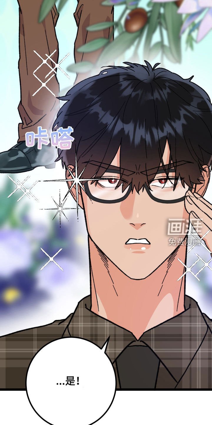 第83章：【番外】变得奇怪