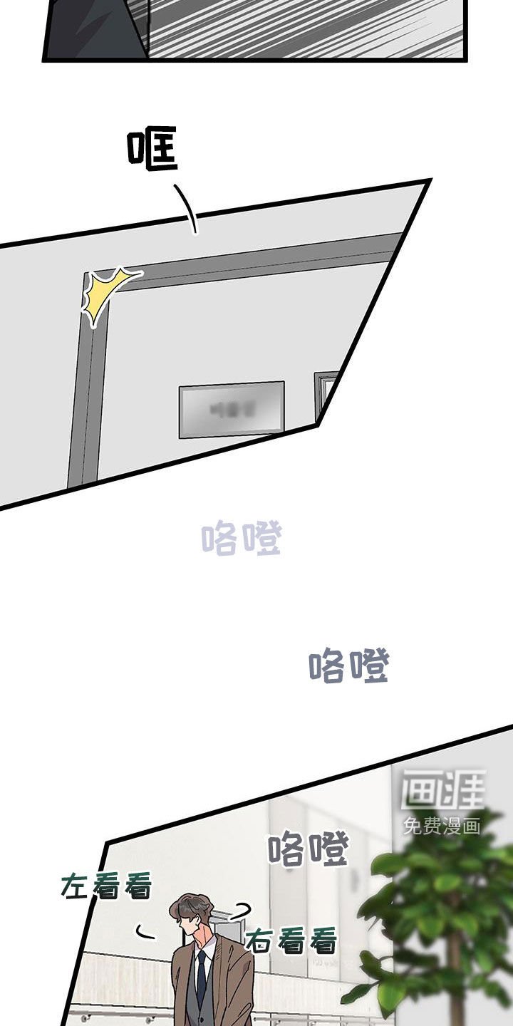 第89章：【番外完结】最后的愿望