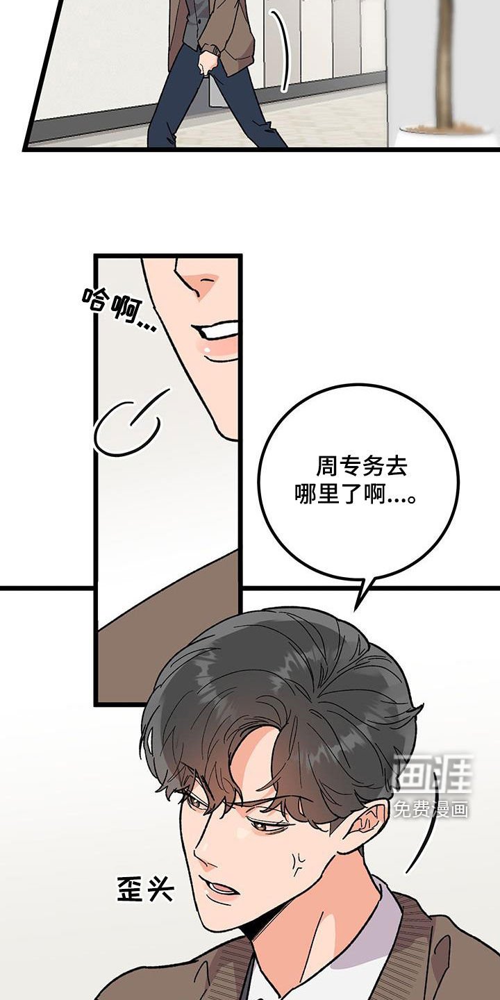 第89章：【番外完结】最后的愿望