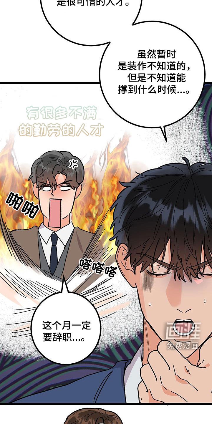 第89章：【番外完结】最后的愿望