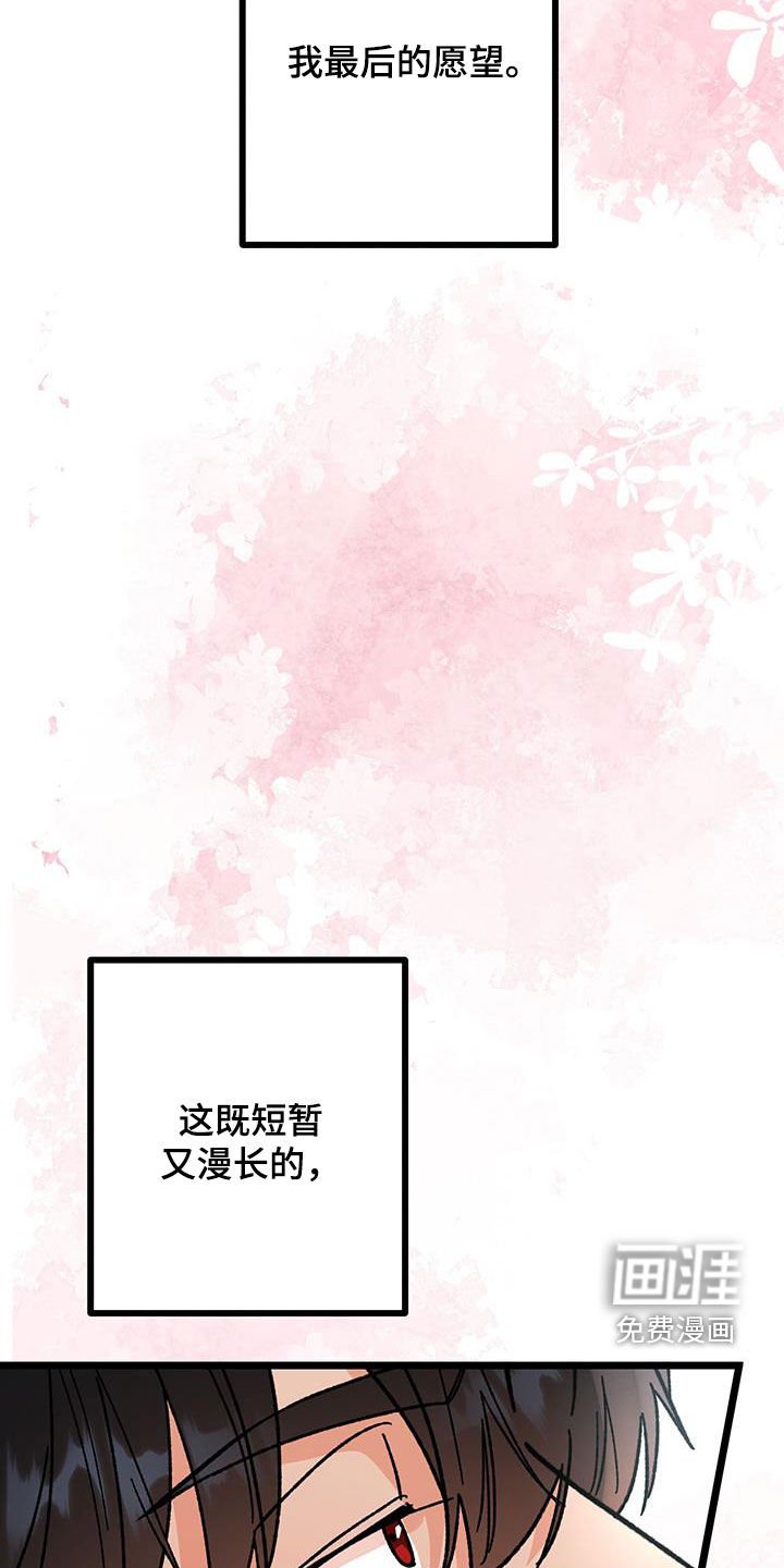 第89章：【番外完结】最后的愿望