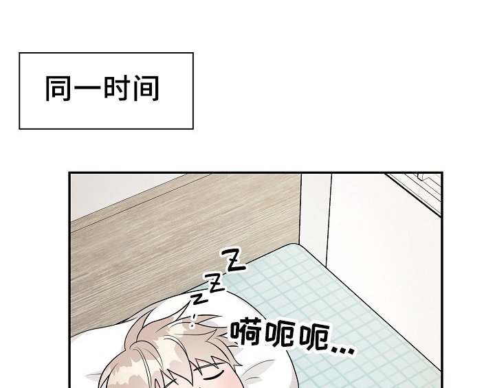 第13章：不敢置信