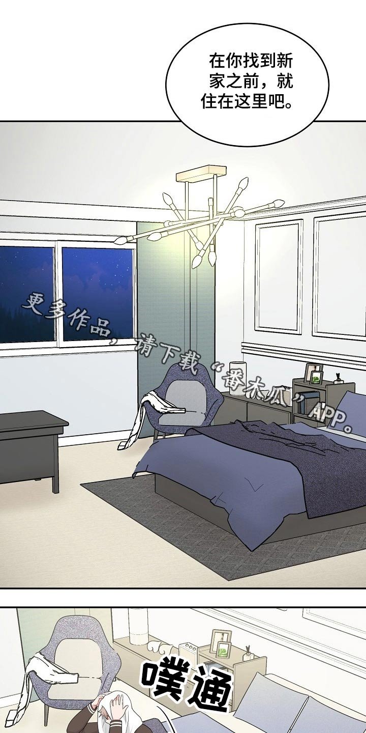 第19章：眼色