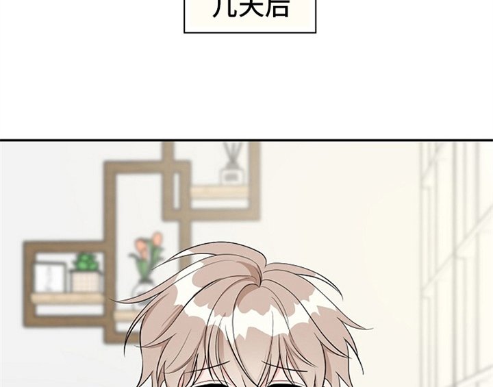 第3章：评价