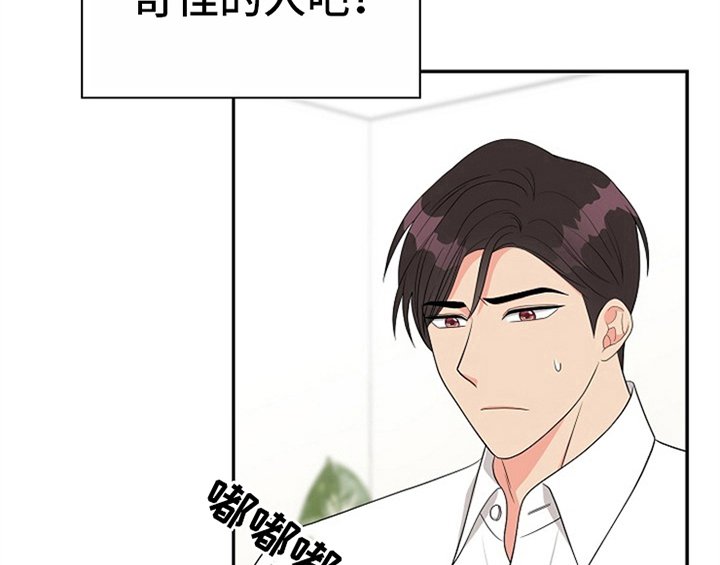 第8章：求助