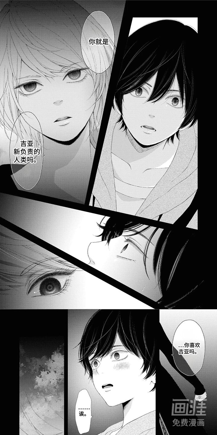 第13章：你的工作