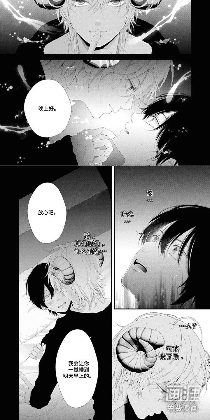 第2章：绵羊