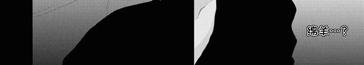 第2章：绵羊