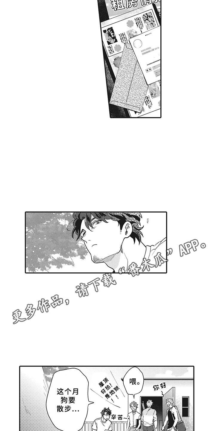 第13章：理由