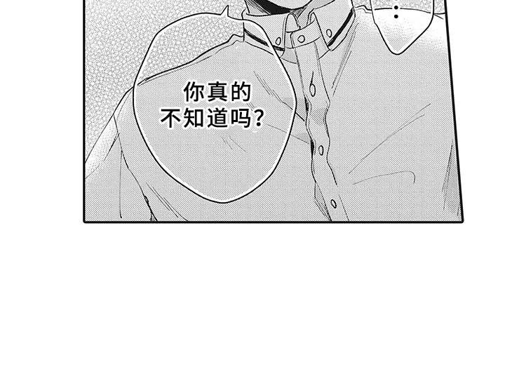 第13章：理由