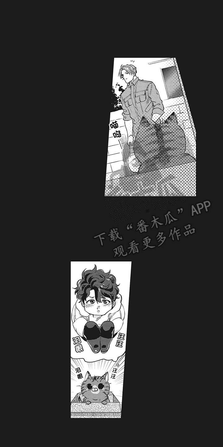 第16章：过去的影子