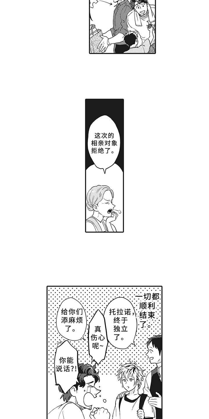 第21章：想法
