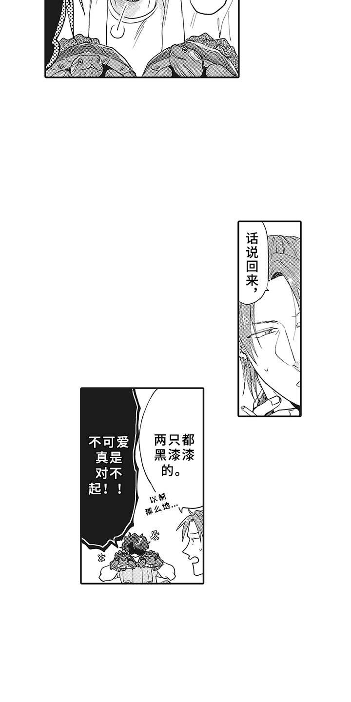 第21章：想法