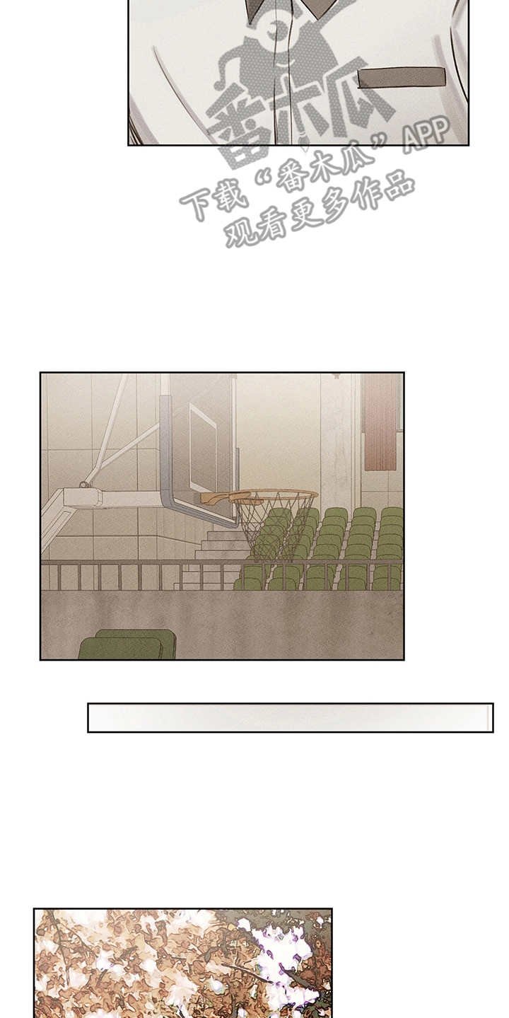 第19章：辅助