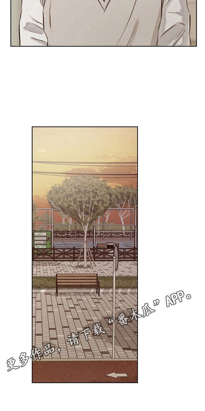 第19章：辅助