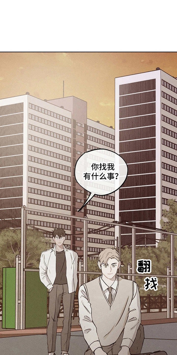 第19章：辅助