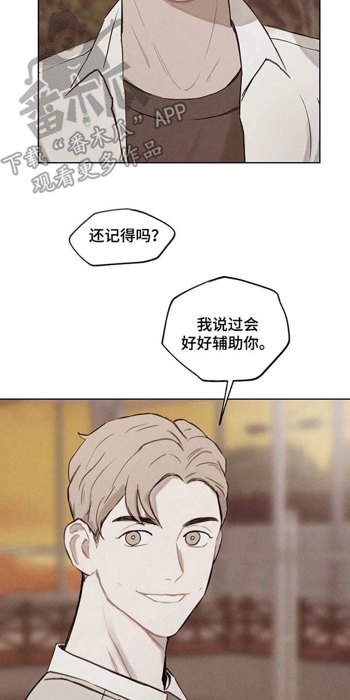 第19章：辅助