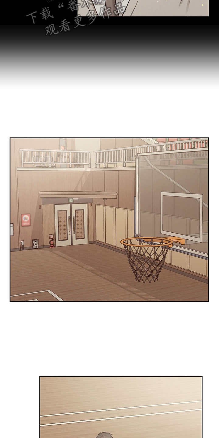 第33章：番外：闪耀的你