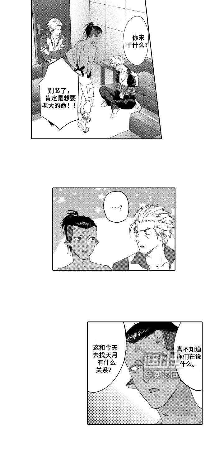 第13章：打斗