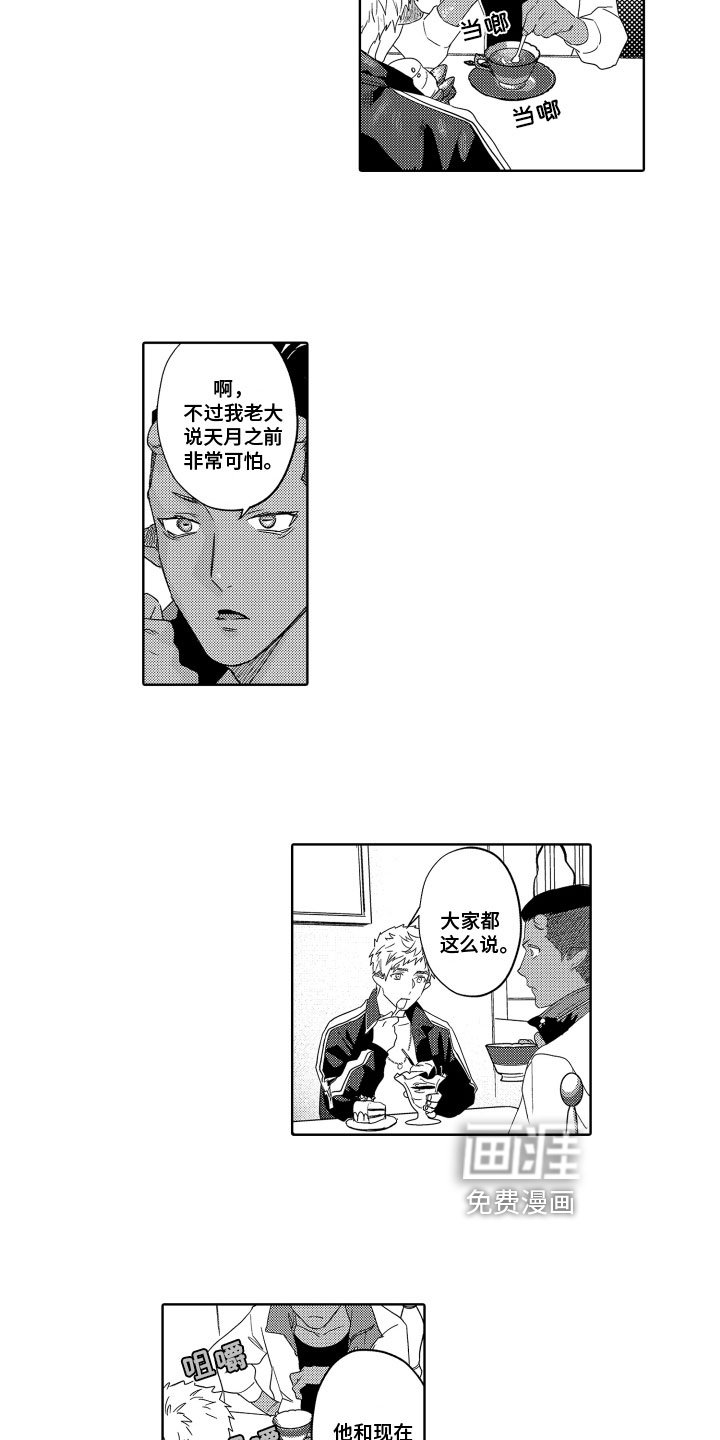 第16章：建议