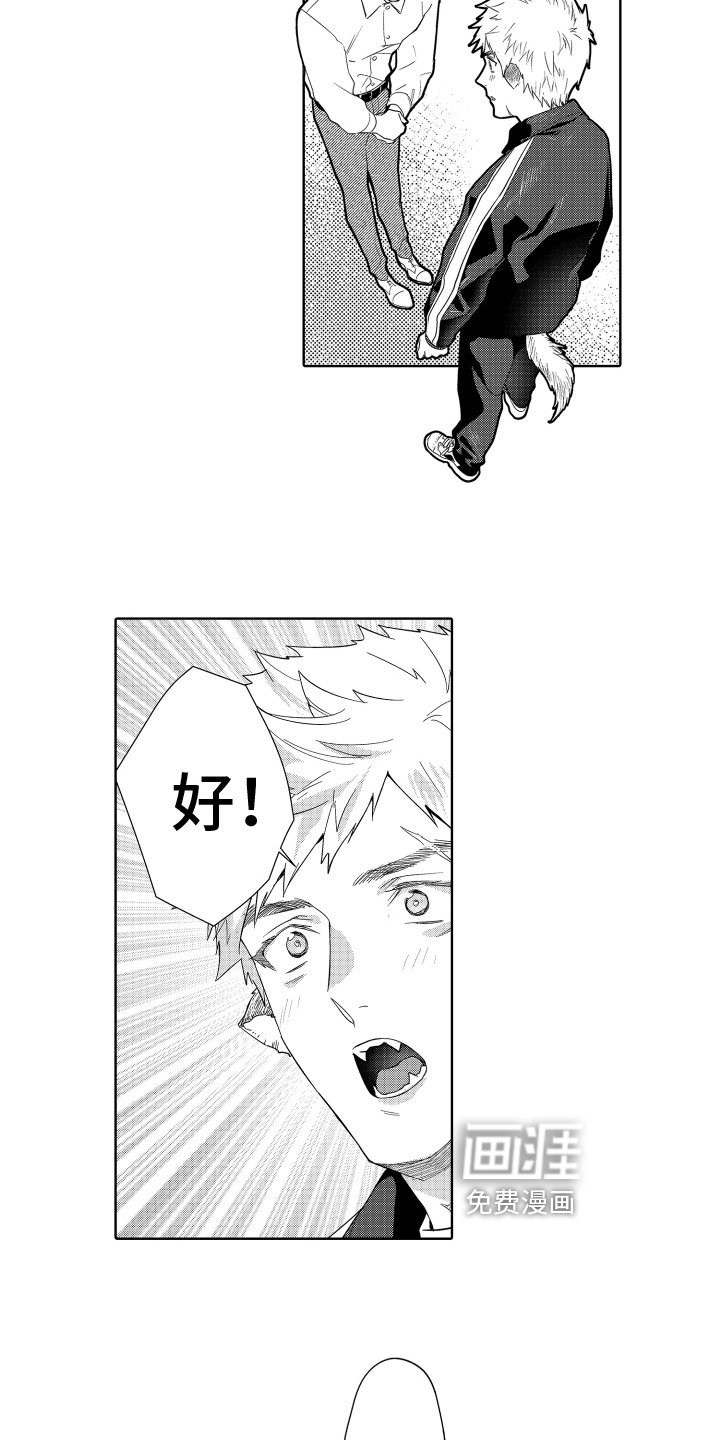第17章：照顾