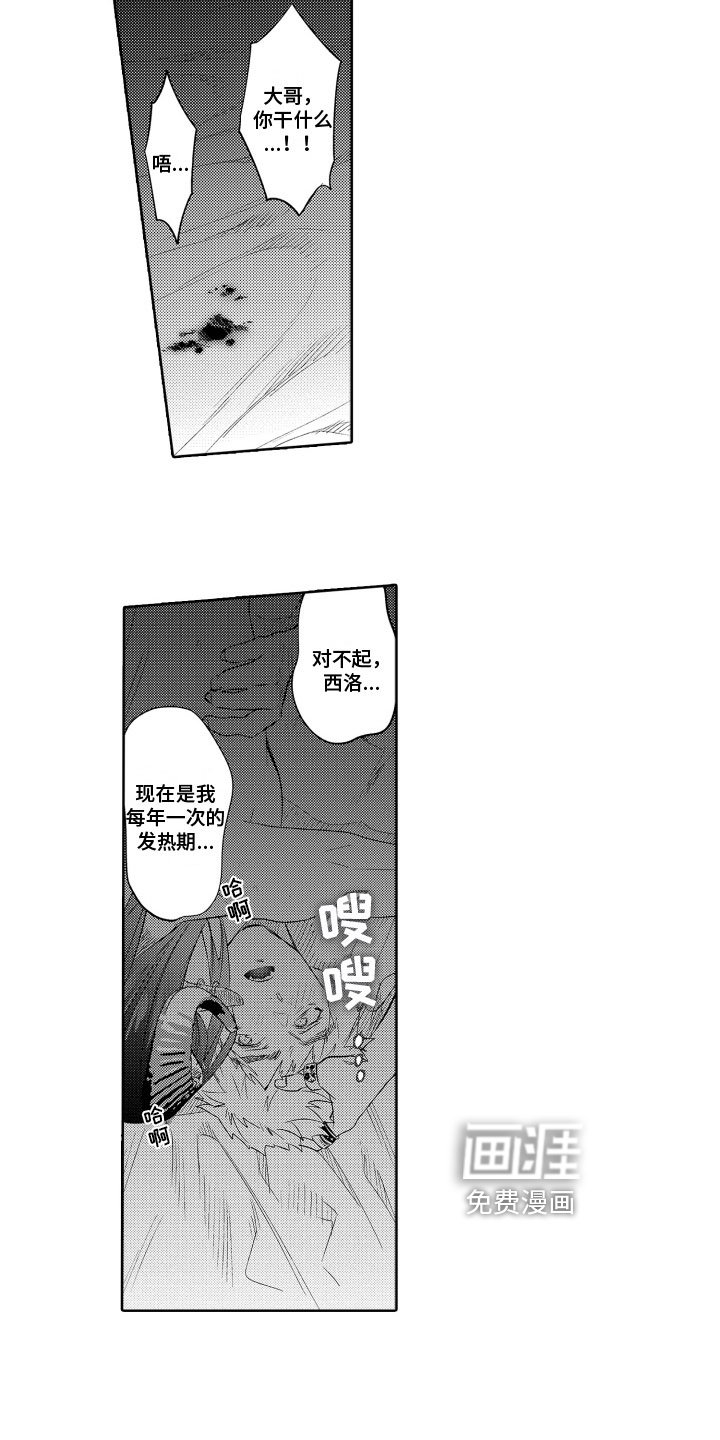 第18章：保护【完结】