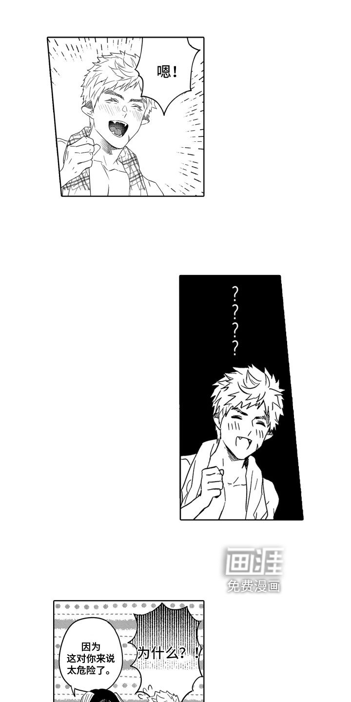 第18章：保护【完结】