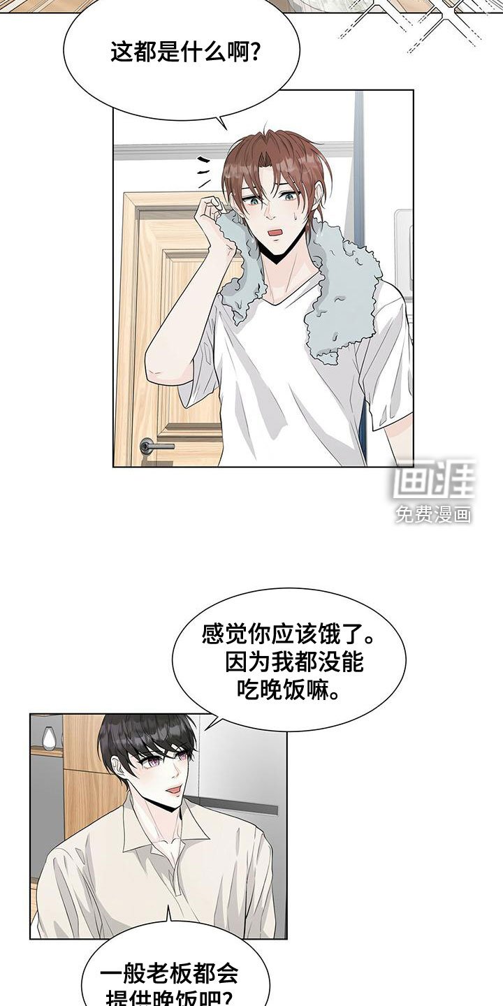 第20章：狐狸