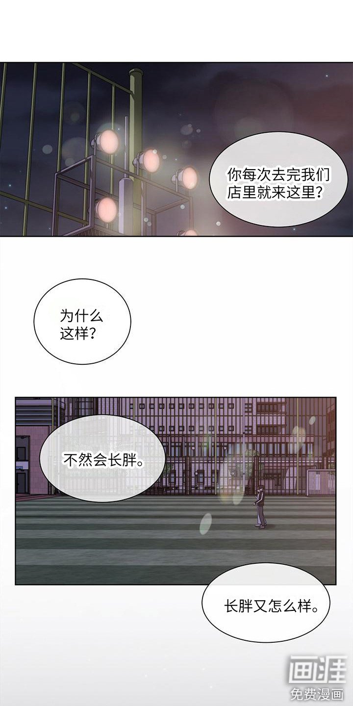 第6章：表白