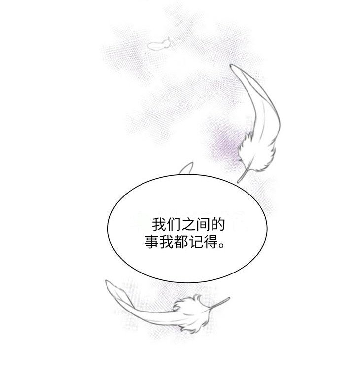 第6章：表白