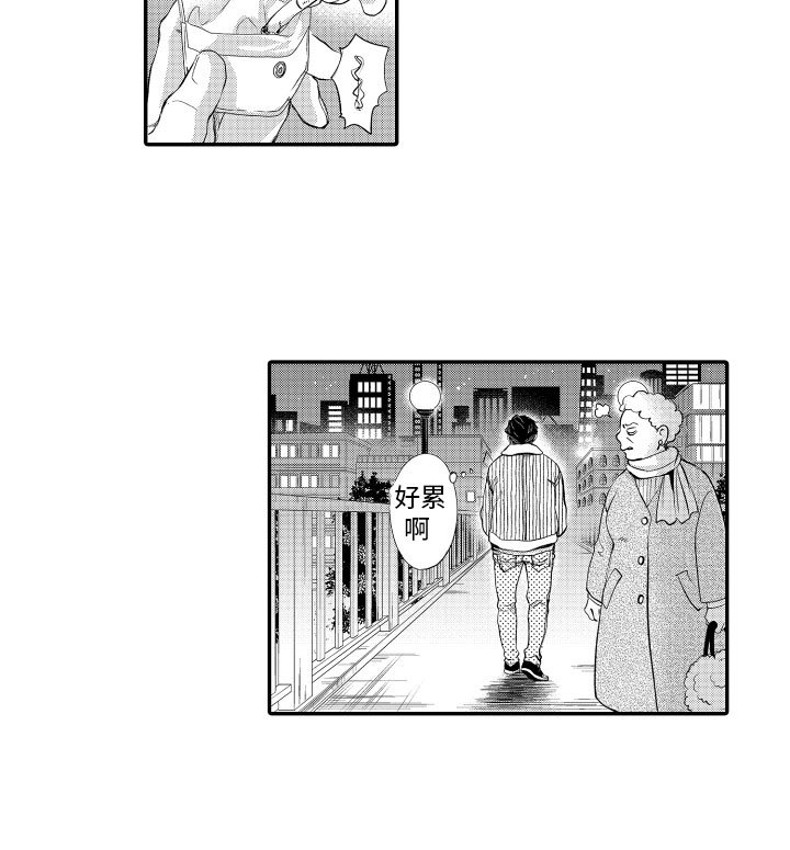 第6章：拍摄计划