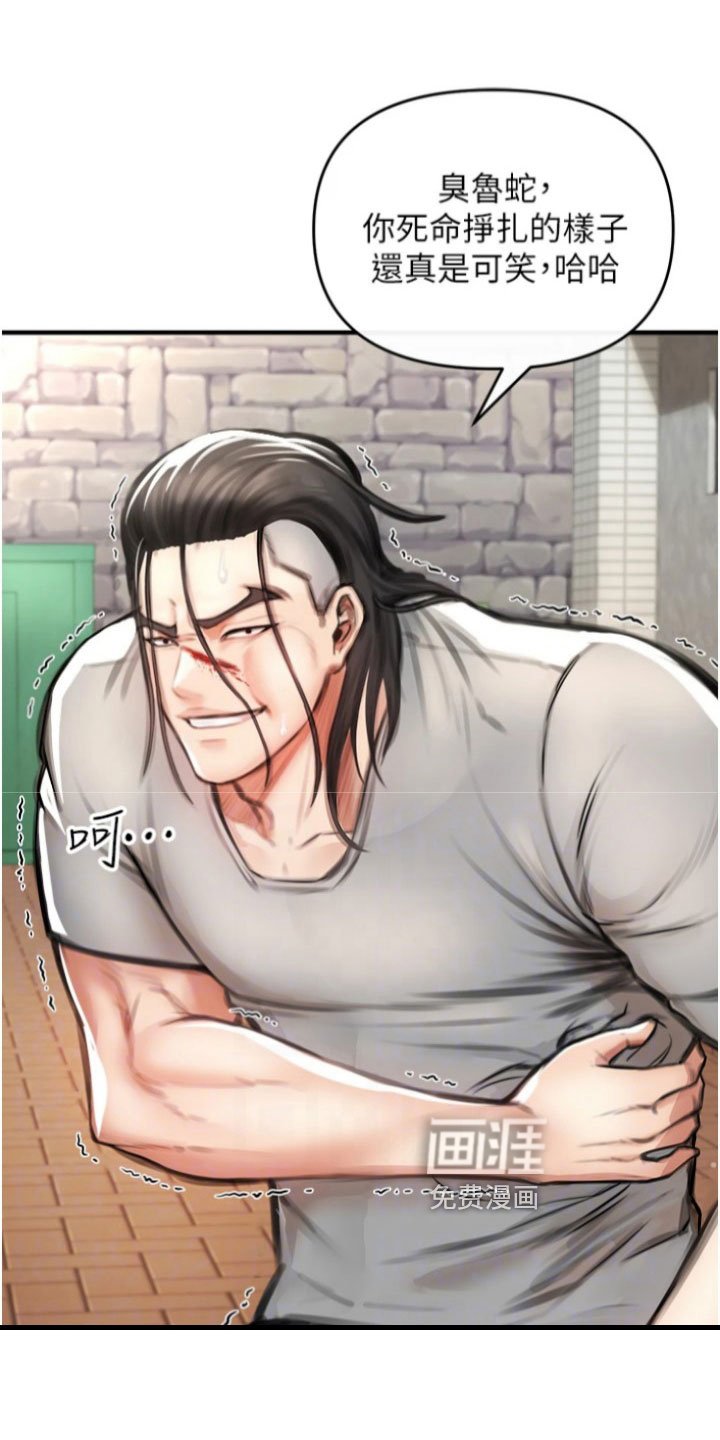 第14章：主导权