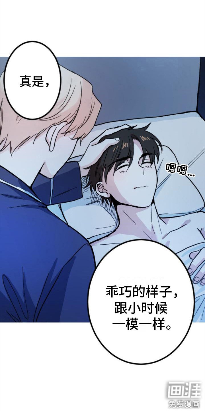 第16章：小熊玩偶