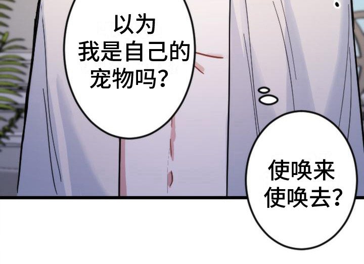 第19章：很极端