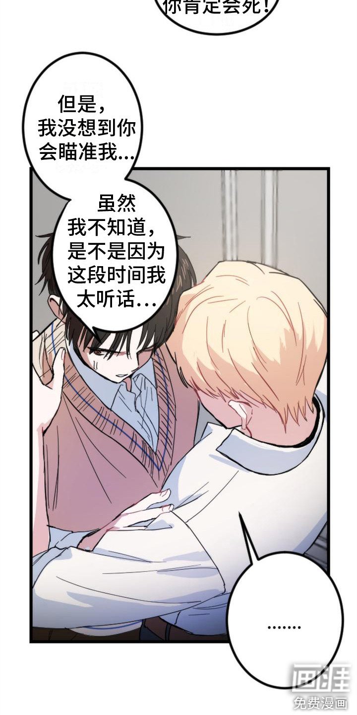 第26章：条件
