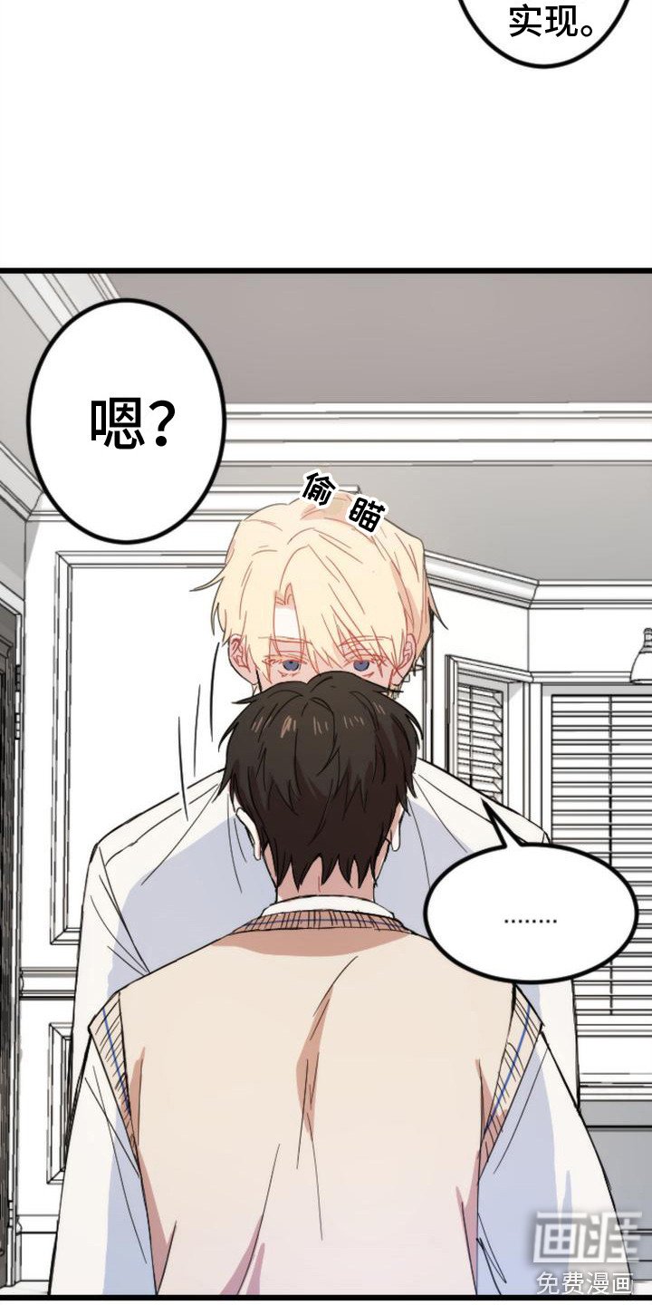第26章：条件