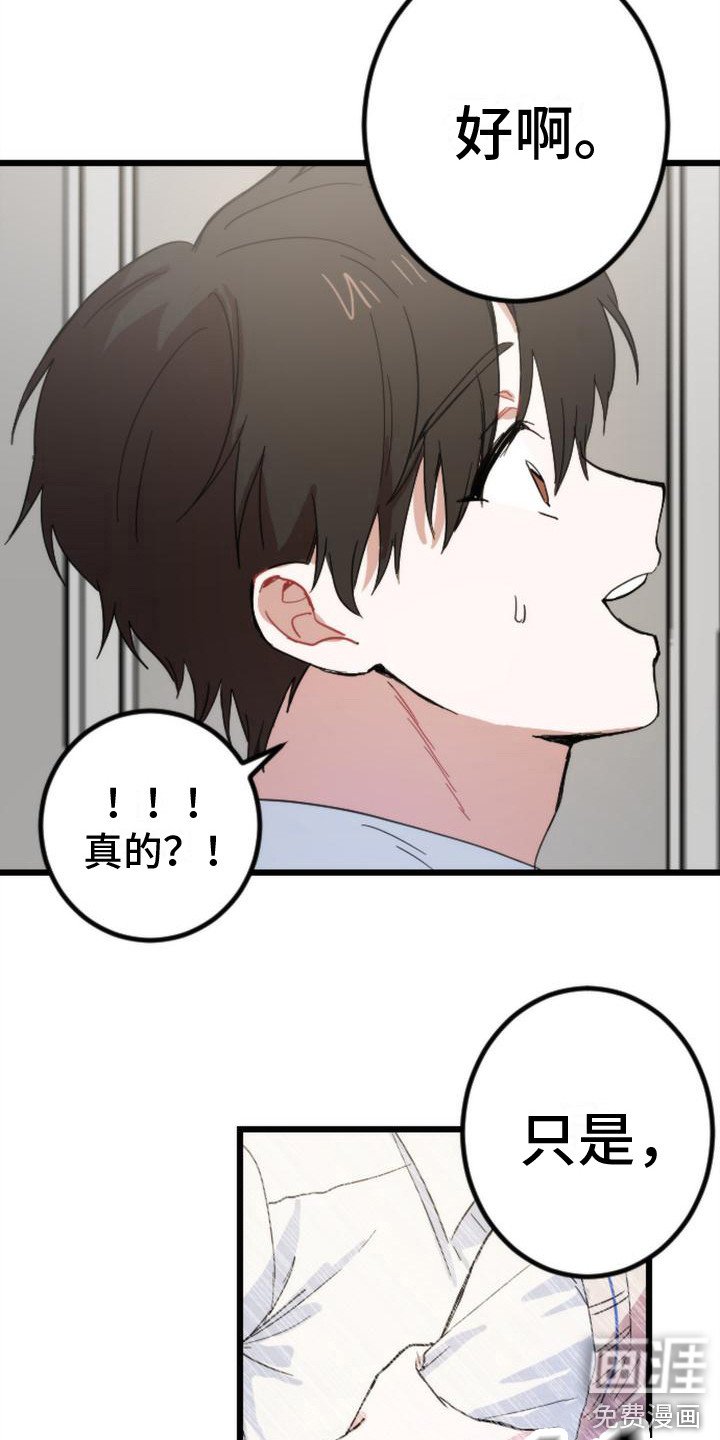 第26章：条件