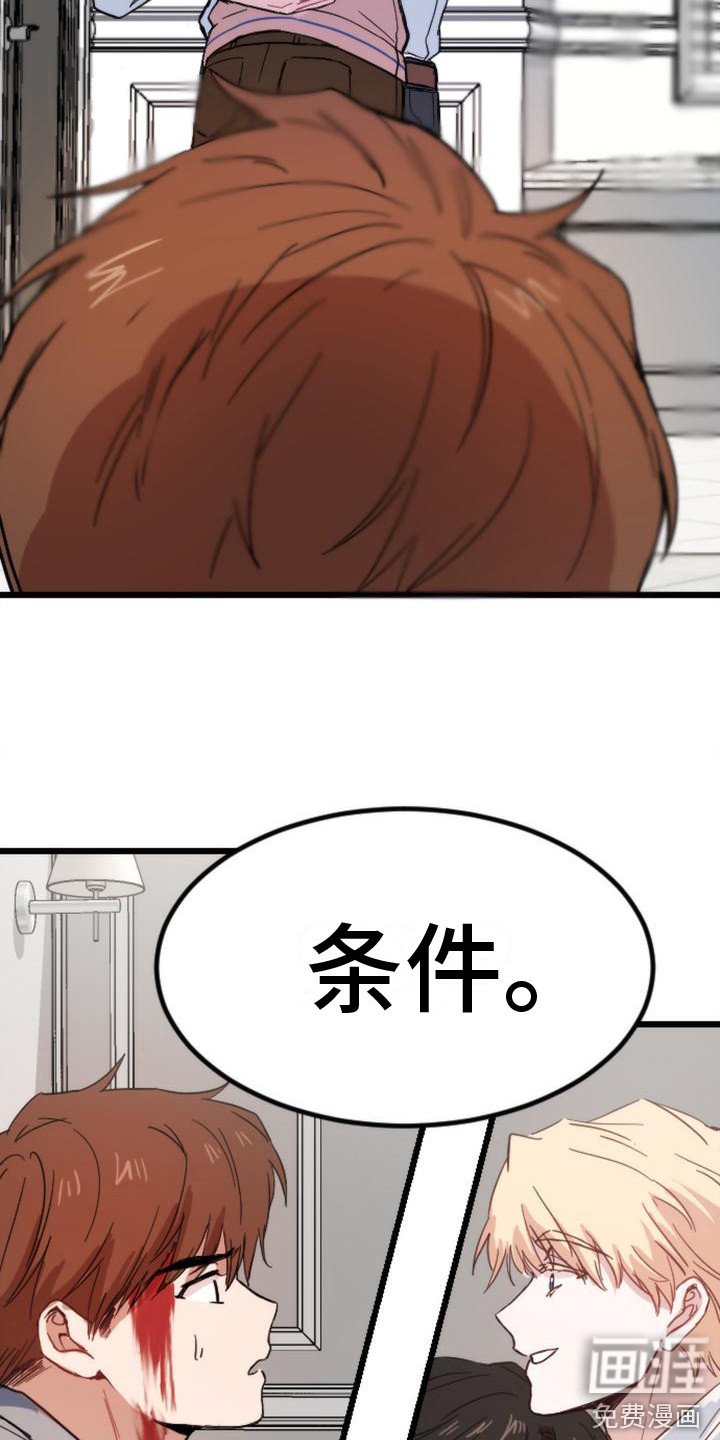 第26章：条件