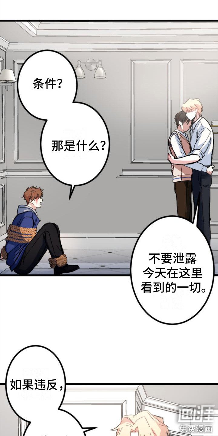 第26章：条件
