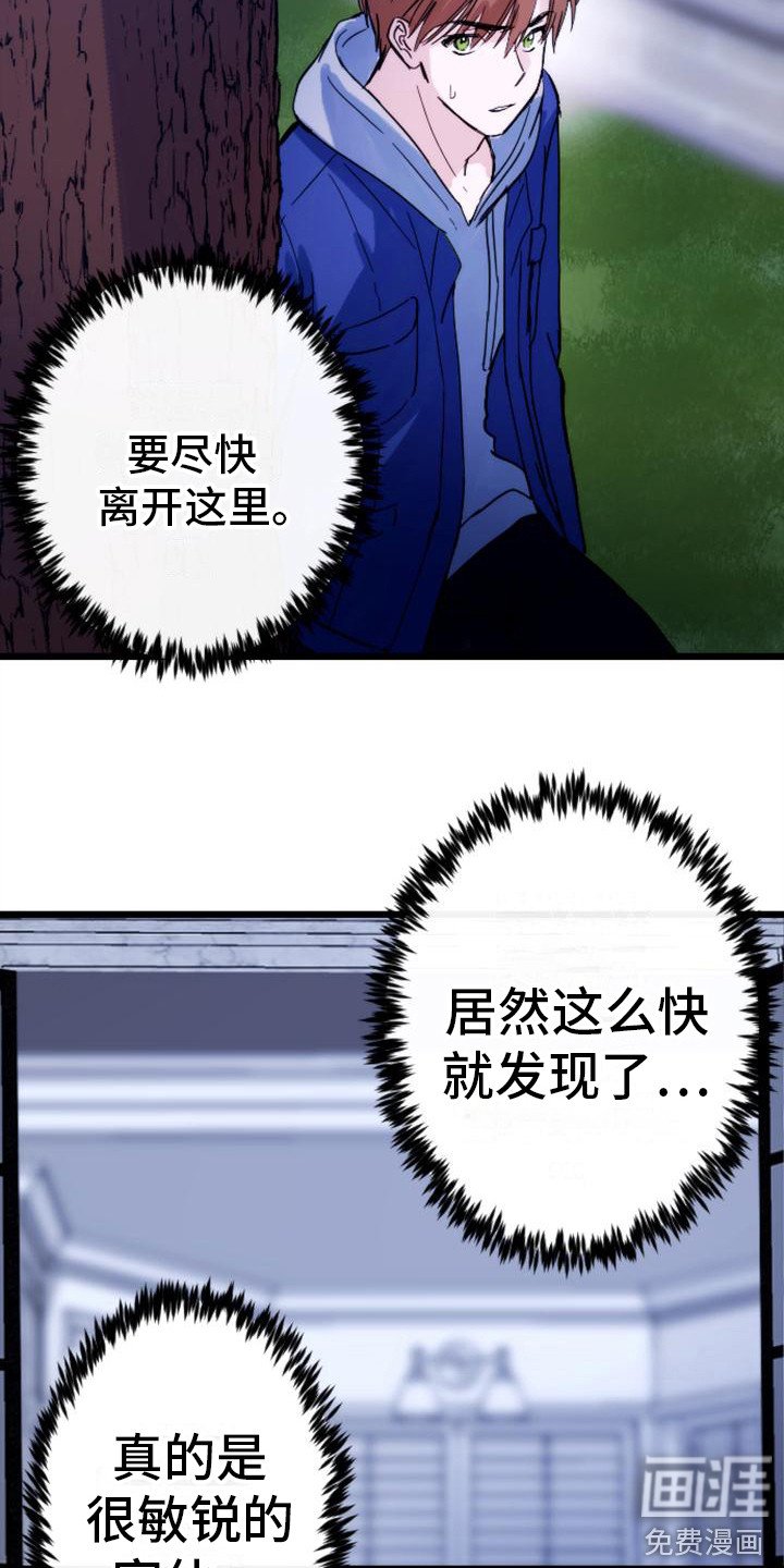 第29章：请相信我