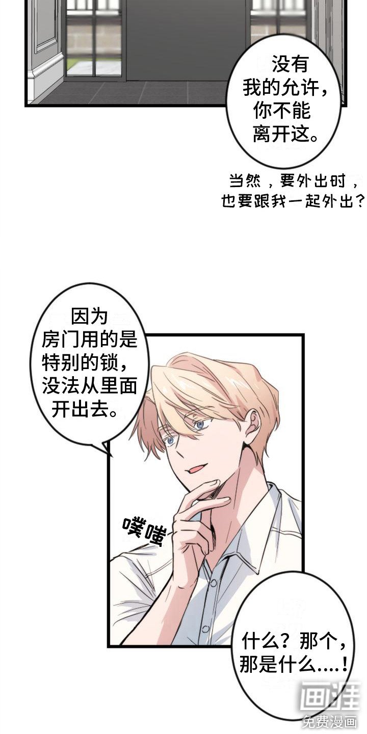 第5章：求饶